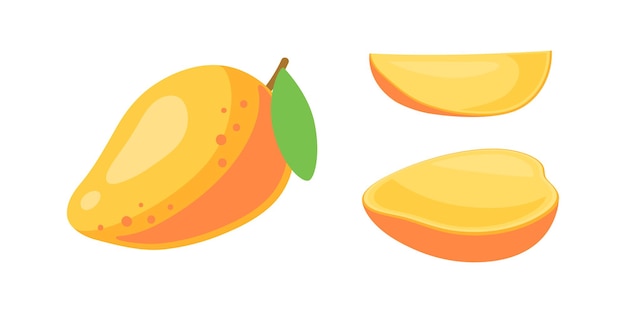 Fresh mango whole and slices. Summer fruits symbol. illustration in flat cartoon style isolated on white 