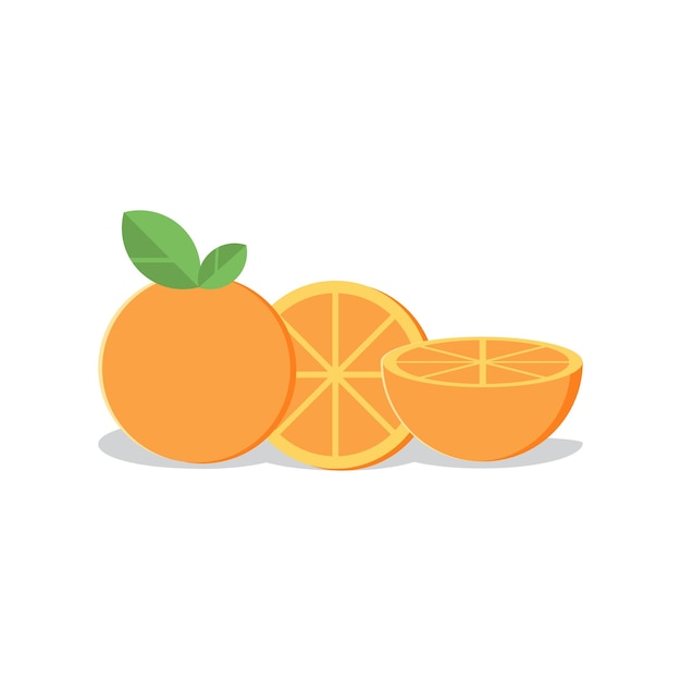 Fresh orange fruit vector isolated on white background