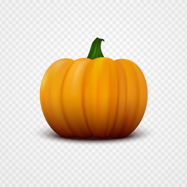 Fresh orange pumpkin.