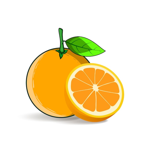 Fresh orange vector illustration