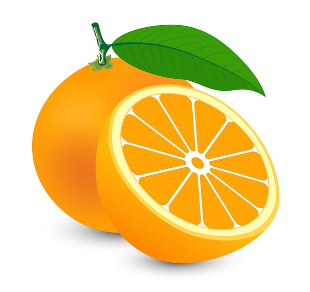 Fresh orange with orange slice with leaves isolated on white background Vector fruit design