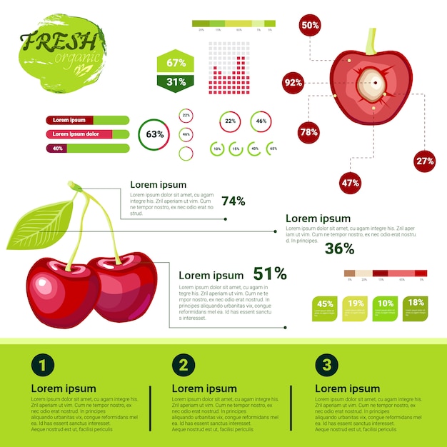 Fresh Organic Infographics Natural Fruits Growth, Agriculture And Farming