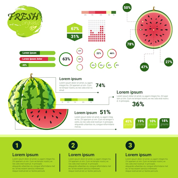 Fresh Organic Infographics Natural Fruits Growth, Agriculture And Farming