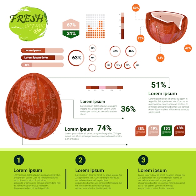 Fresh Organic Infographics Natural Fruits Growth, Agriculture And Farming