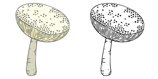 Fresh organic mushroom for coloring page