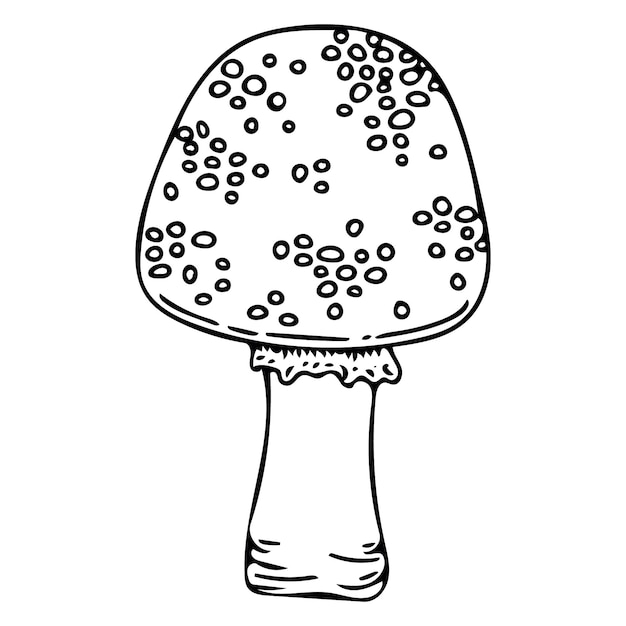 Fresh organic mushroom for coloring page