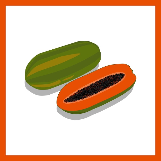 fresh papaya fruit vector is suitable for flayer design needs, book covers and various fruit theme d