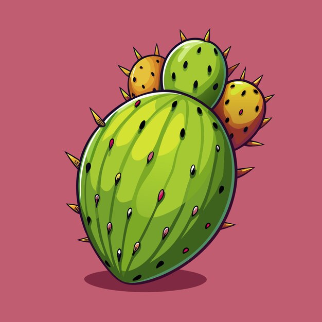 Vector fresh prickly pear cactus fruit vector illustration