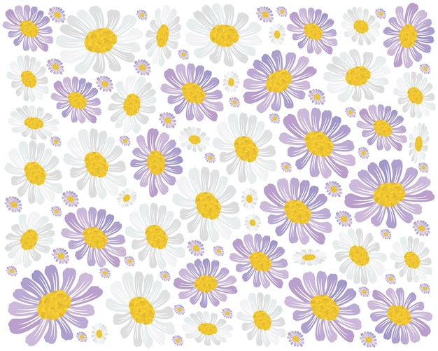 Fresh Purple and White Daisy Blossoms Background