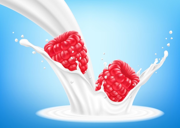 Fresh raspberry in a splash of milk or yogurt Fresh berry falls into the milk 3d realistic vector illustration isolated on blue background Sweet food Organic fruit