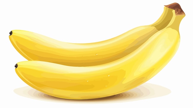 Vector fresh ripe banana isolated on white background