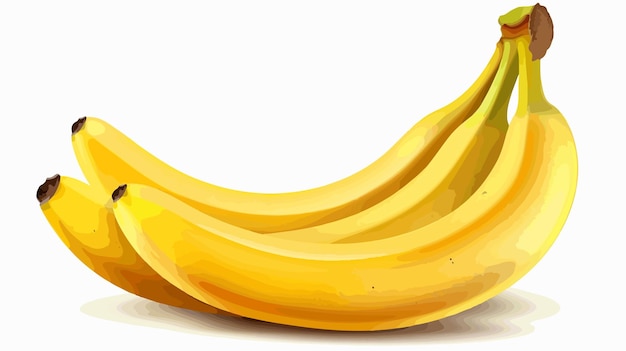 Vector fresh ripe banana isolated on white background