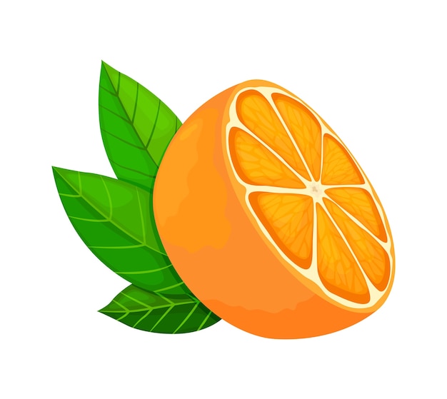 Fresh ripe orange. Half fruit with leaves. illustration in a flat style.