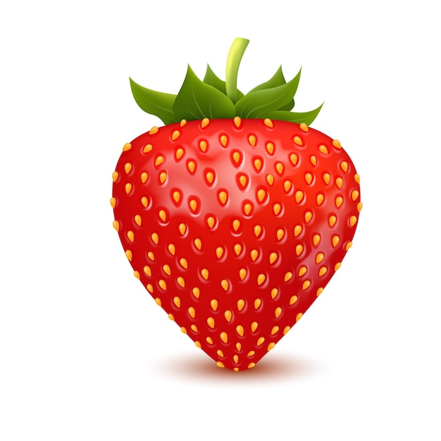 Fresh strawberry realistic isolated on white background