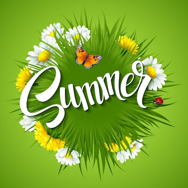 Fresh summer background with grass, dandelions and daisies