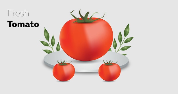 Fresh tomatoes with leaves isolated