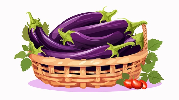 Vector fresh vegetable eggplant in wicker basket flat vector illustration