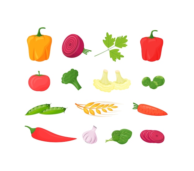 Fresh vegetables cartoon s set. Pepper, tomato and broccoli healthy food. Cauliflower and beets organic produce flat color objects. Raw carrot food isolated on white background