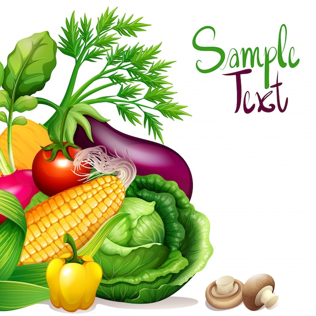 Fresh vegetables with sample text space illustration