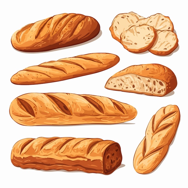 Freshly Baked Baguette Bread Vector Illustration