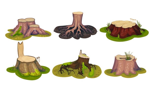 Vector freshlycut stubs and mosscovered stumps standing on green patch vector set