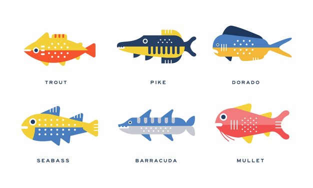 Vector freshwater and saltwater fish as seafood depicted in flat style vector set