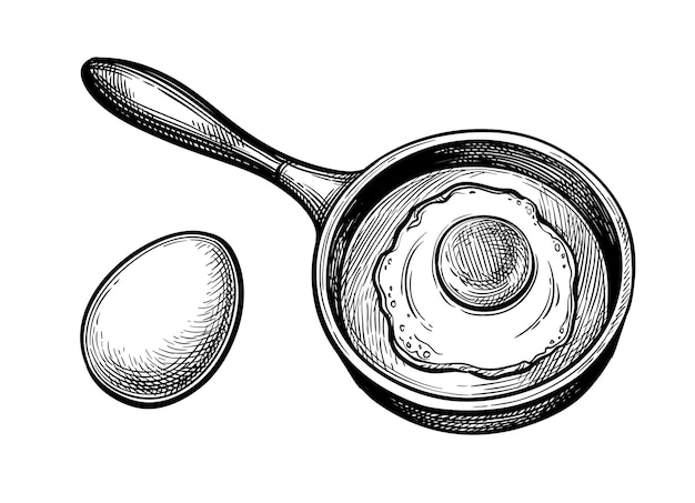 Vector fried egg in pan and raw egg hand drawn ink sketch