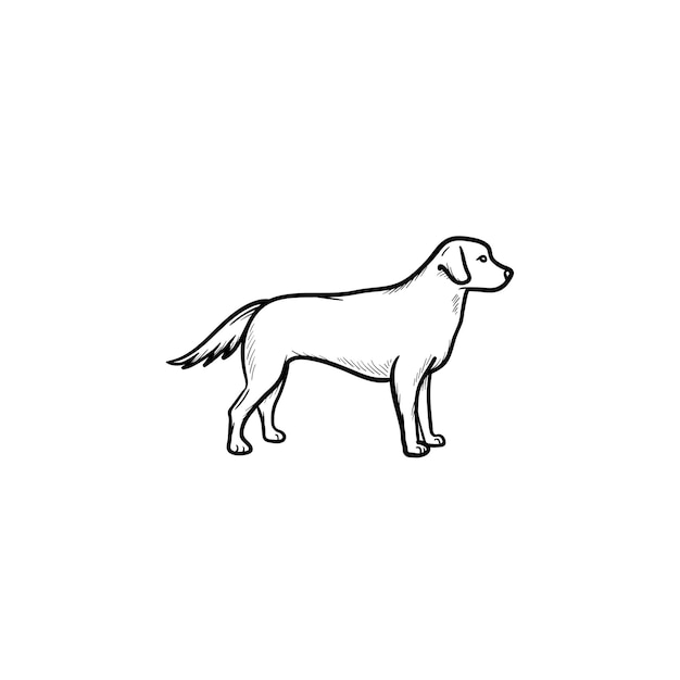 Friendly dog hand drawn outline doodle icon. Pets in the city life and safety dog walking concept