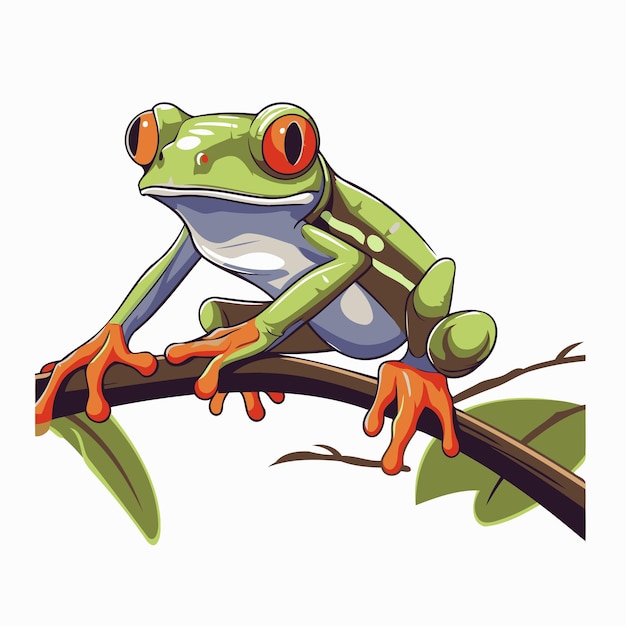 Frog on a branch isolated on white background Vector illustration