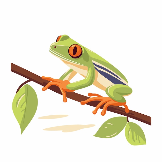 Frog on a branch Vector illustration isolated on white background