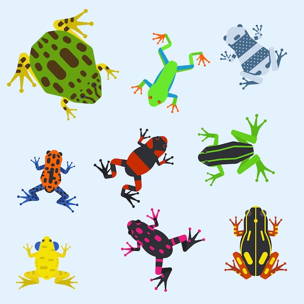 Frog cartoon tropical animal cartoon amphibian mascot character wild vector illustration