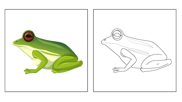 Frog Coloring