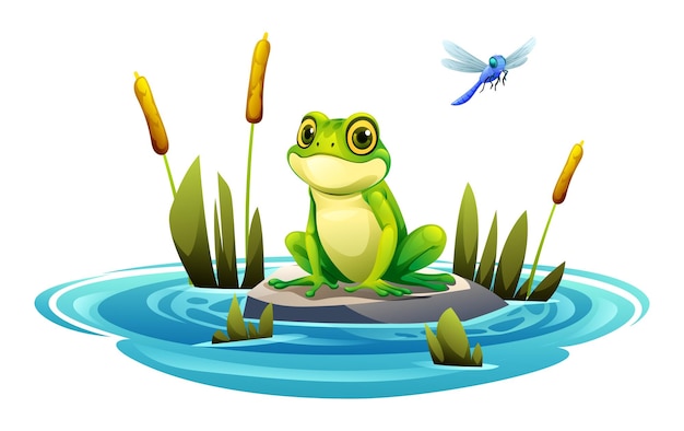 Frog sitting on a rock in pond with dragonfly Vector cartoon illustration