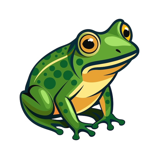 Vector frog vector isolated on a white background