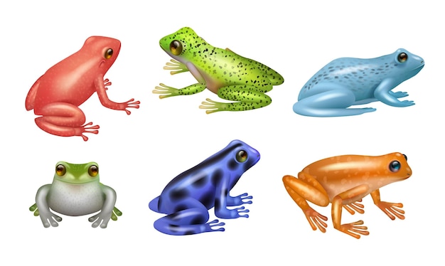 Frogs realistic Wild amphibian set of frogs decent vector illustration template