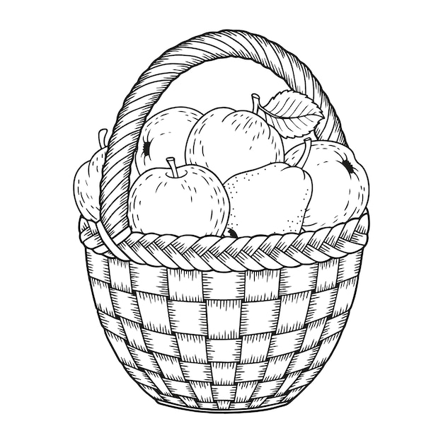 Fruit basket design for coloring book