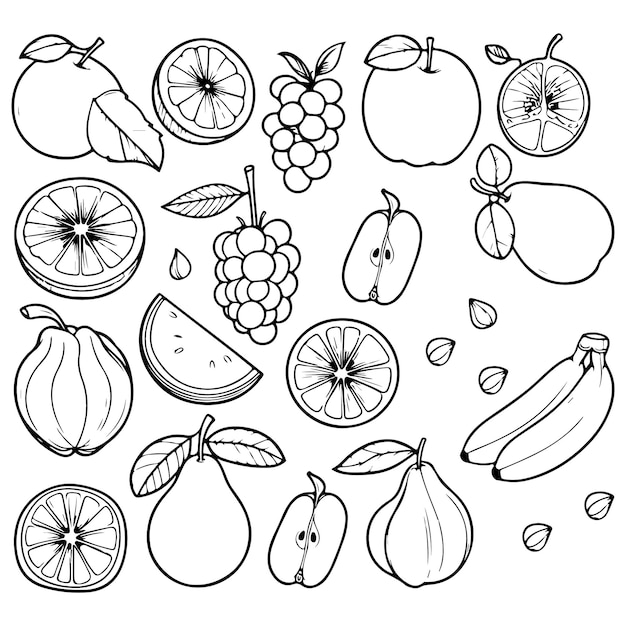 Fruit coloring page illustration Hand drawn coloring page for kids fruit coloring book