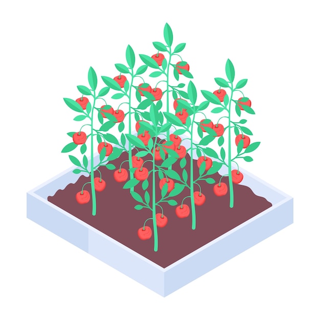 Vector fruit crate icon in isometric style