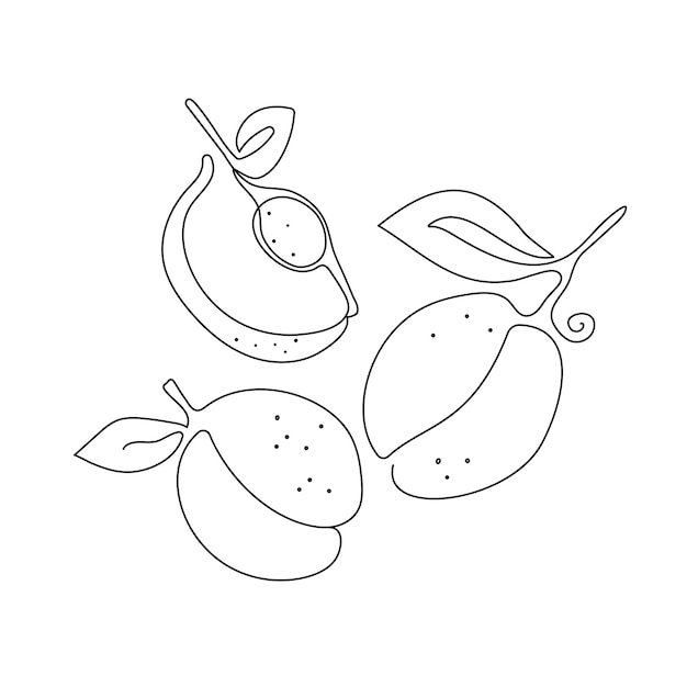 Fruit drawings one line Abstract apricot plum peach Whole fruit and slice