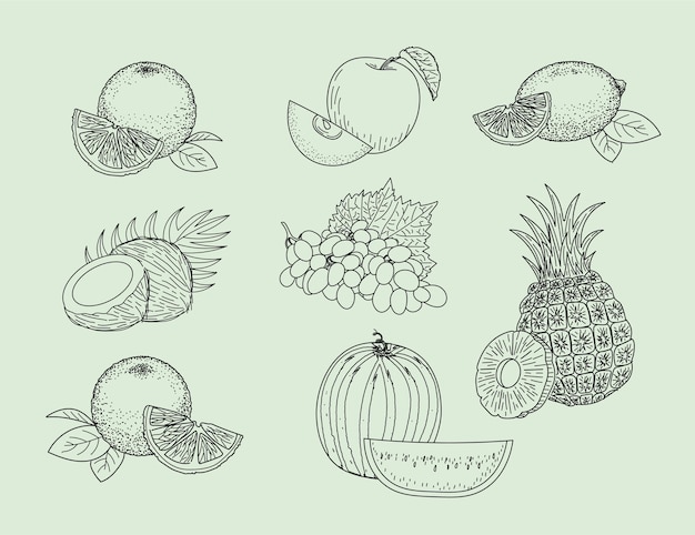 Fruit hand drawn sketch set