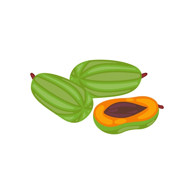 Fruit of the papaya cut on a white background isolated vector illustration