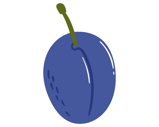 Vector fruit plum in cartoon hand drawn simple style editable variable color