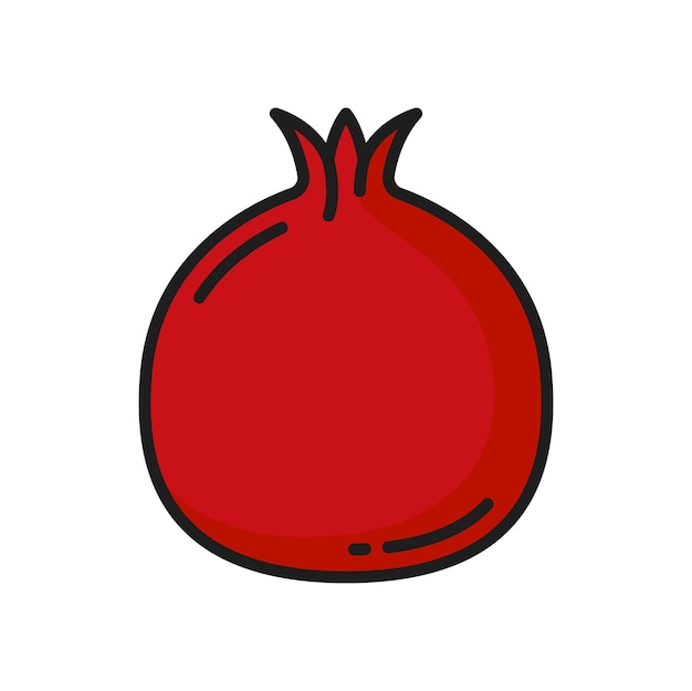 Fruit pomegranate isolated red garnet line icon