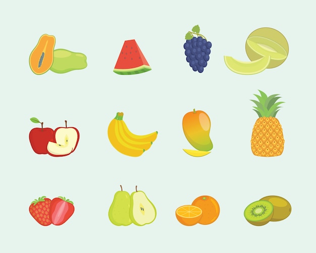 Fruit set collection with various shape and various colors with modern flat style