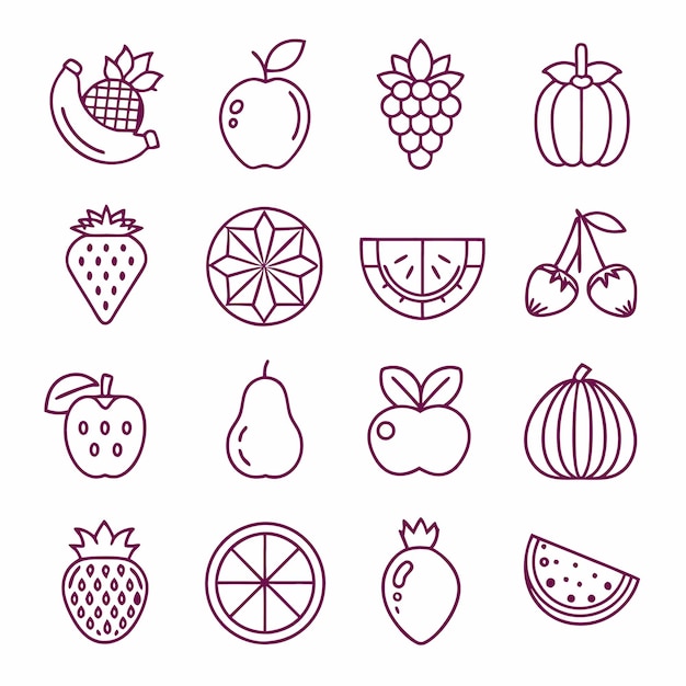 fruit set line icon