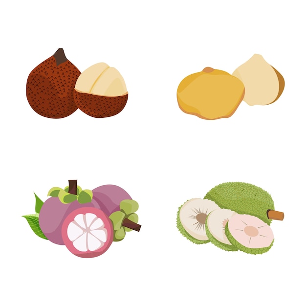 fruit shape illustration set design