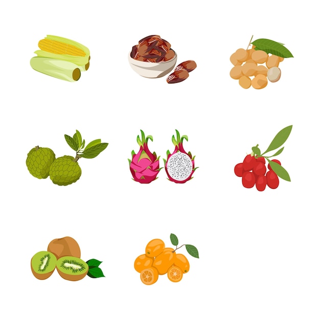 fruit shape illustration set design