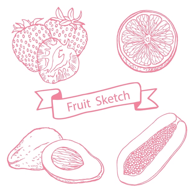 fruit sketch isolated