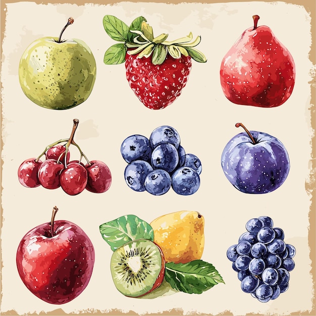 Fruit of the Spirit Watercolor Illustration Sheet