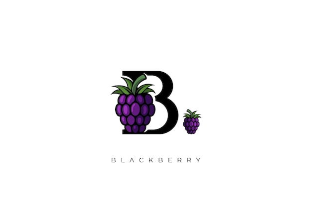 FRUIT VECTOR BLACKBERRY